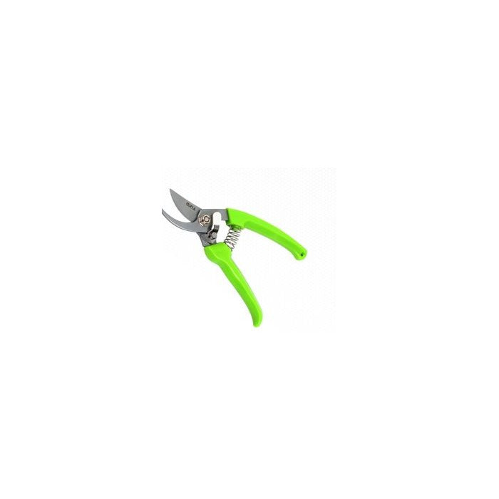 Pruning Shears