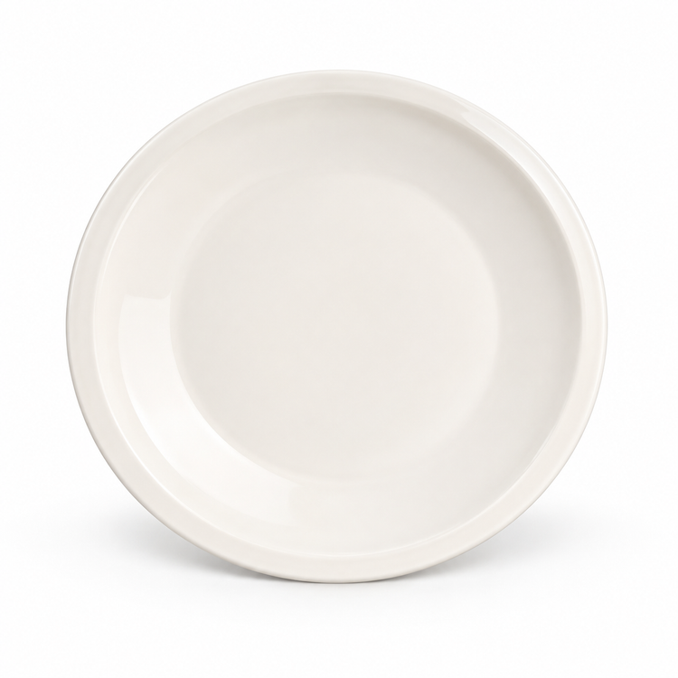 10-inch Porcelain Dinner Plate