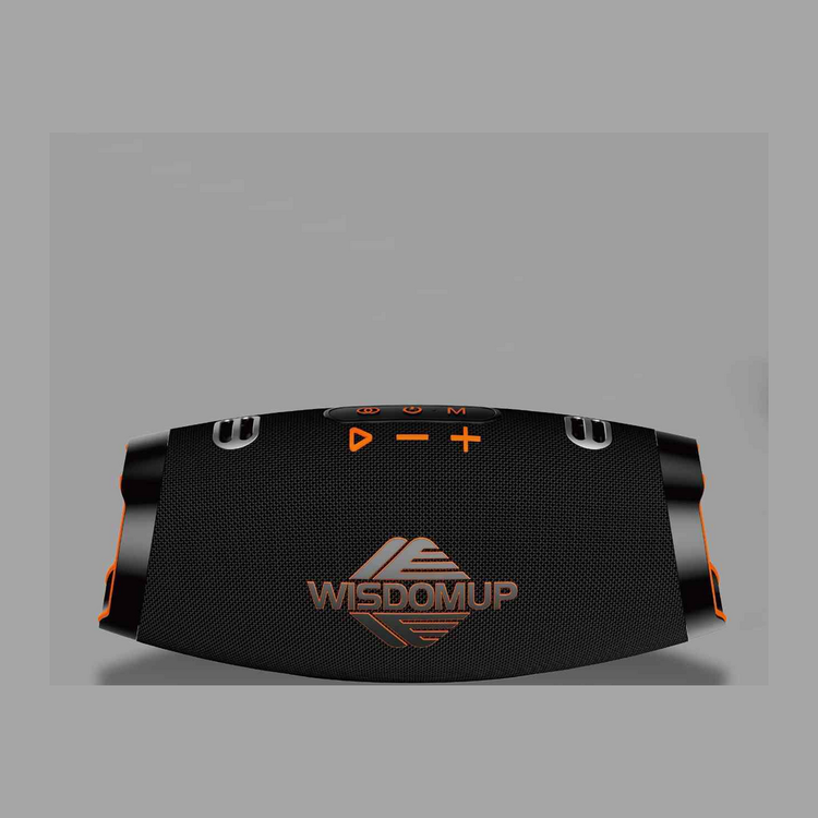 100W Portable Bluetooth Speaker