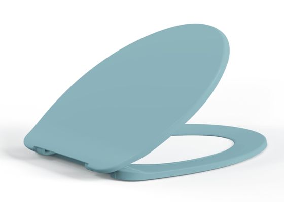 Solid Plastic Toilet Seat Dusty Blue