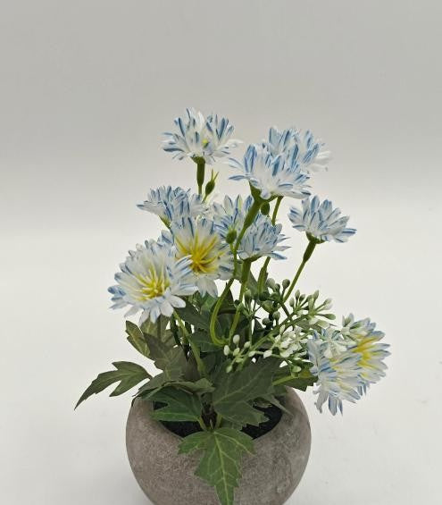 Artificial Blue Daisy Arrangement - 6 x 6 x 8 in