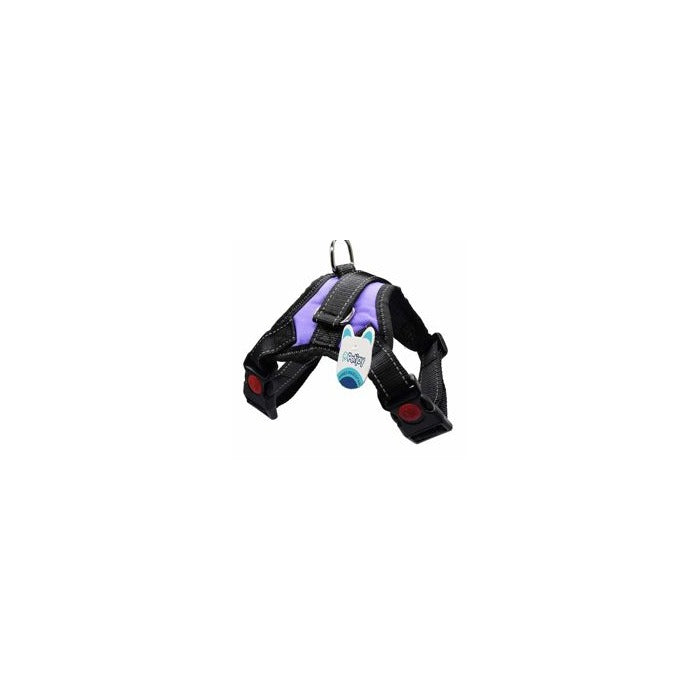 Pet Harness