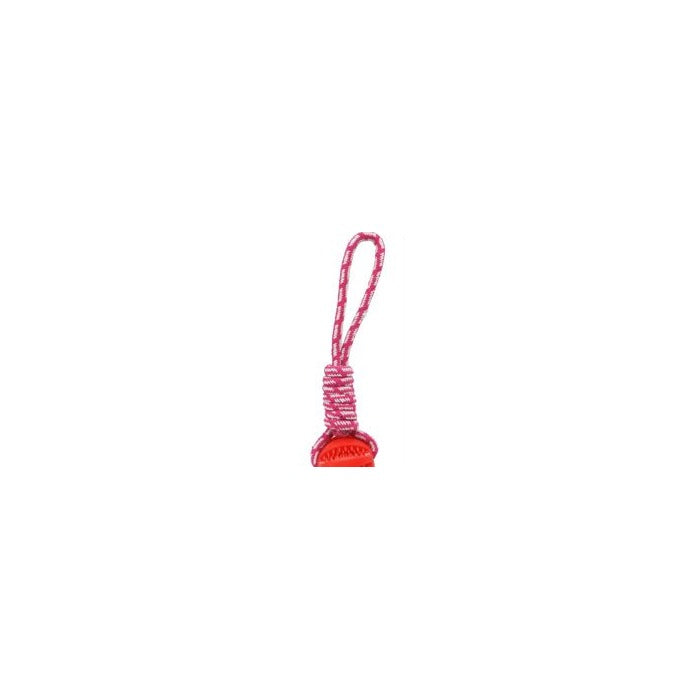 Dog Chew / Play Toy - 30CM