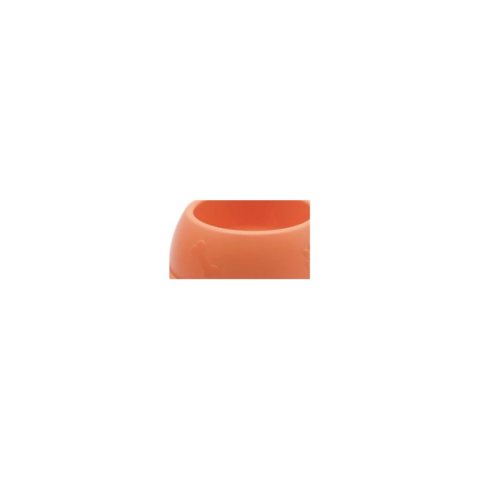 Pet Bowl - 22.5*6CM