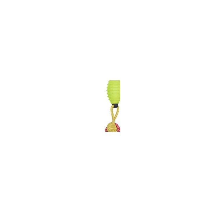 Dog Toy Ball - 22CM