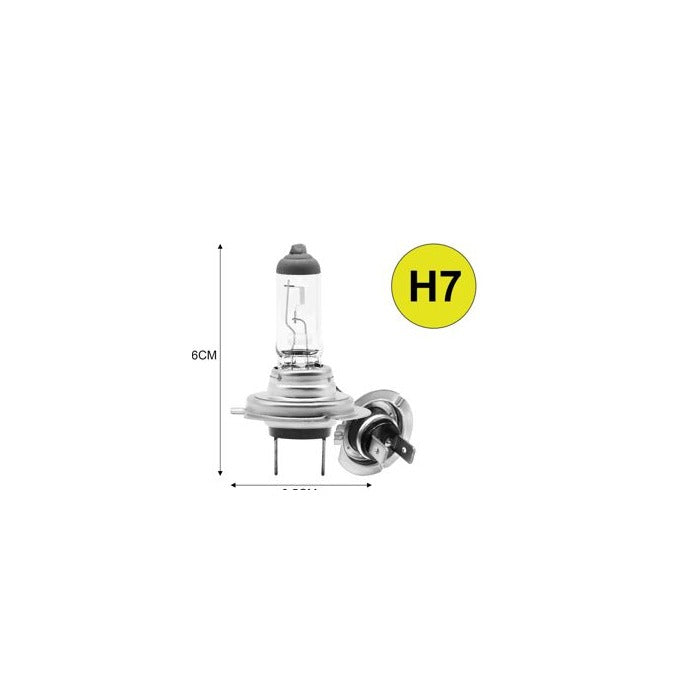 Automotive Bulb / LED Light Set