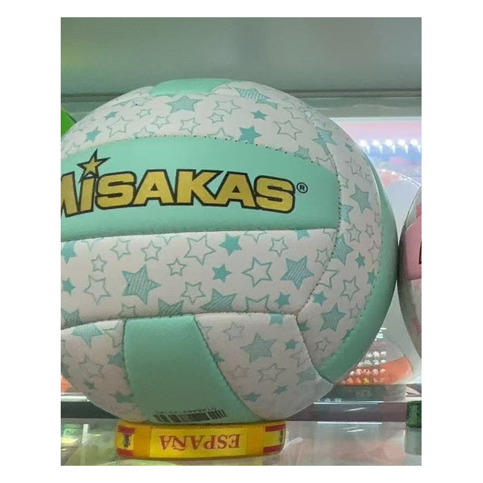 Printed Volleyball - Size 2