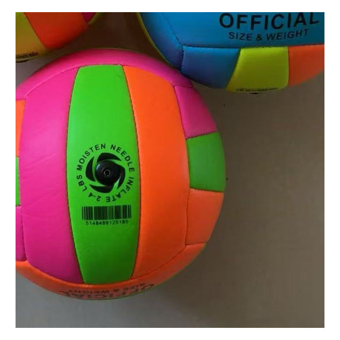 Printed Volleyball - Size 2