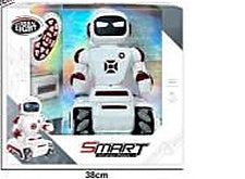 Dual-Mode RC Intelligent Exploration Educational Companion Robot