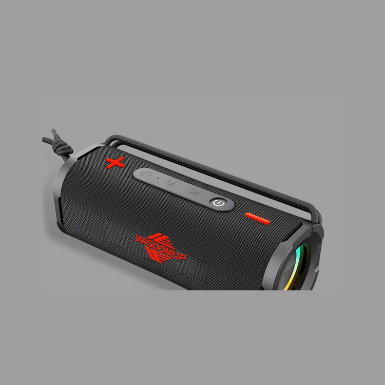 30W Portable Bluetooth Speaker