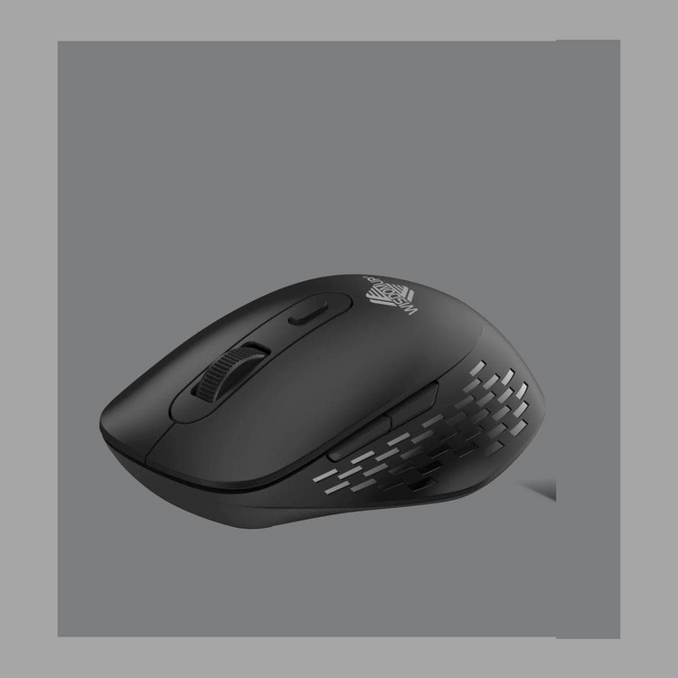 Computer Mouse