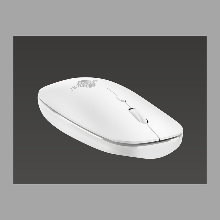 Computer Mouse