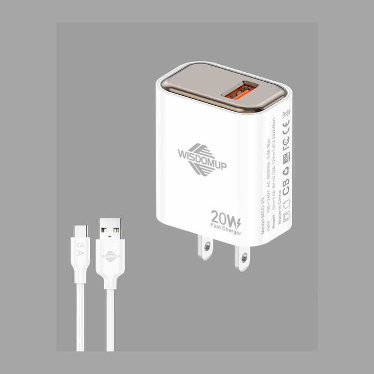 Fast Charger & Cable Set - North American Plug