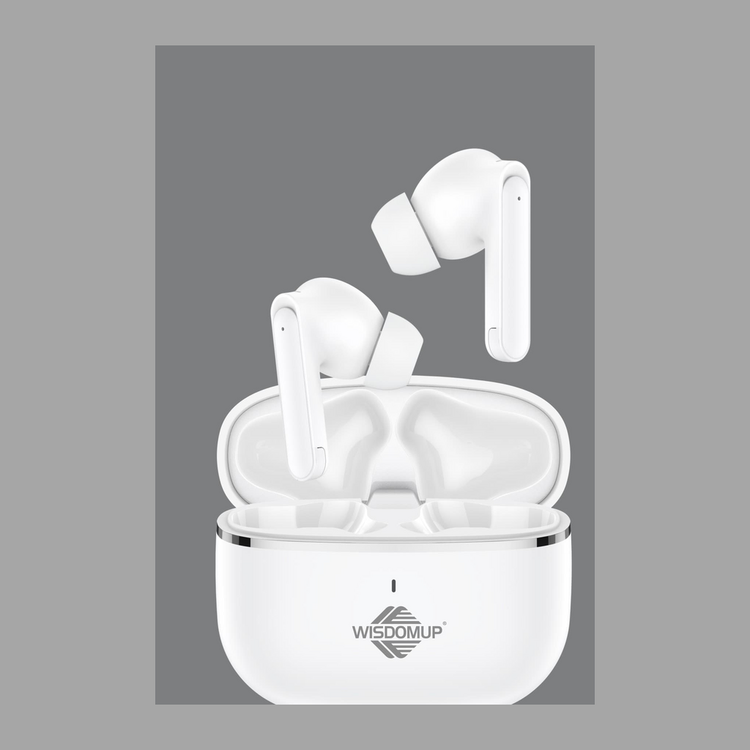 True Wireless Bluetooth Earbuds