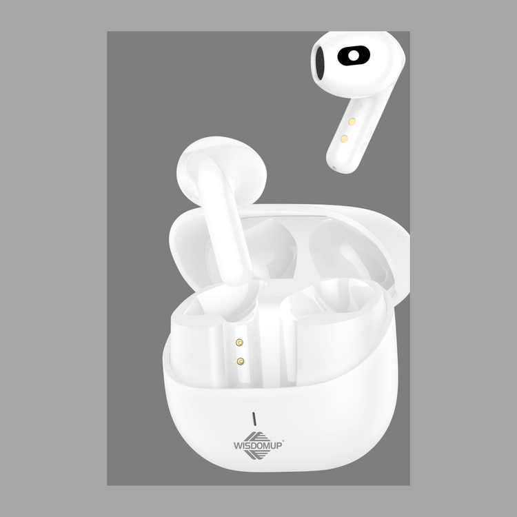 True Wireless Bluetooth Earbuds