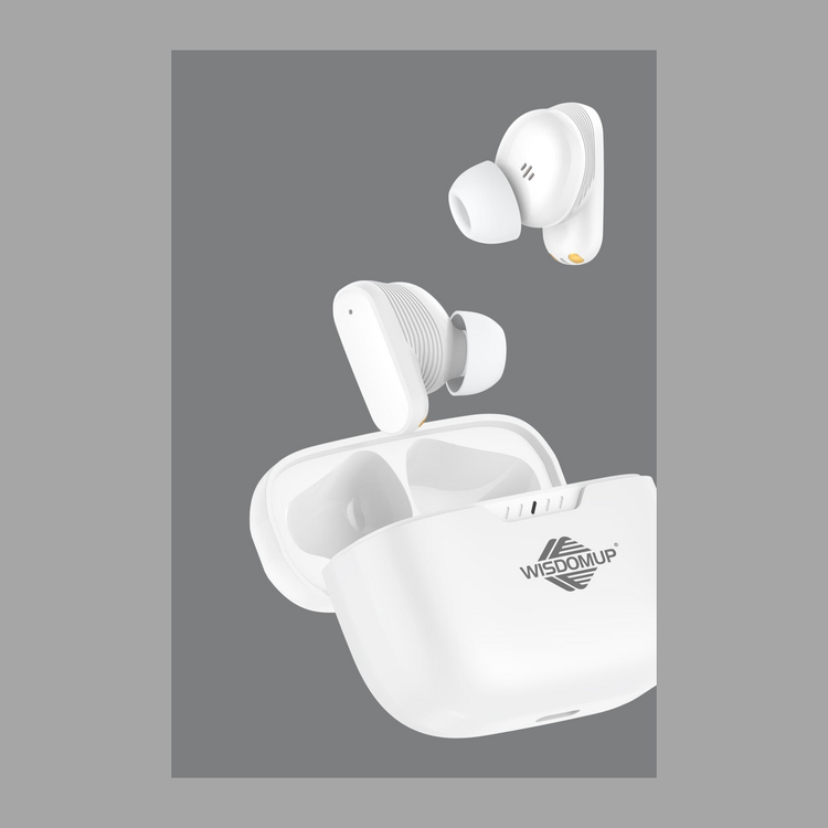 True Wireless Bluetooth Earbuds