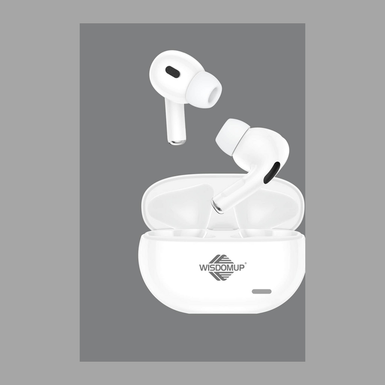 True Wireless Bluetooth Earbuds