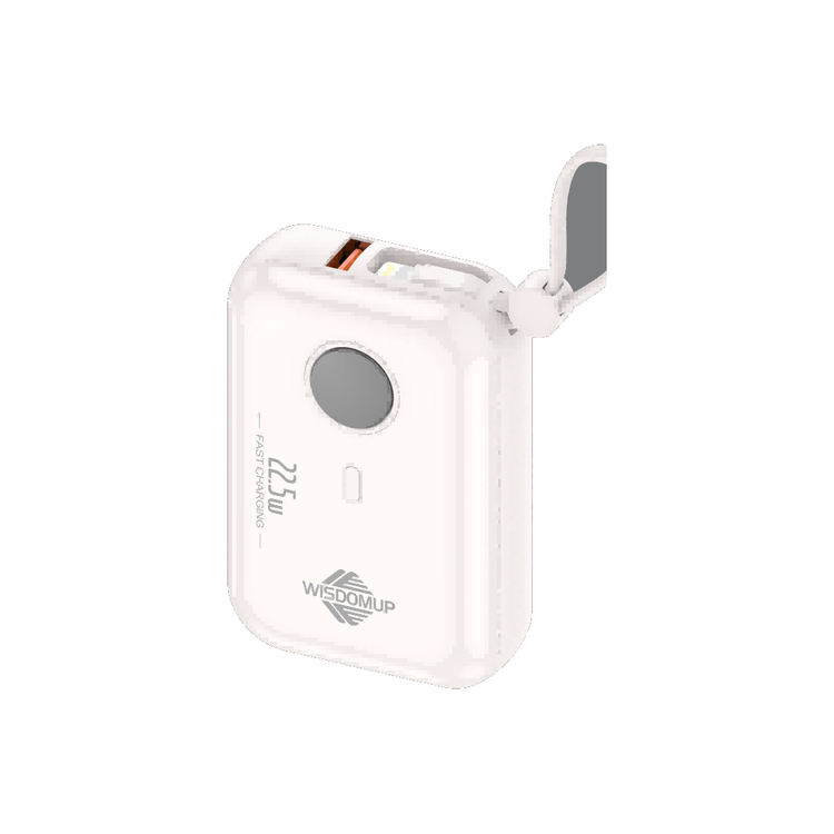 Fast-Charging Power Bank