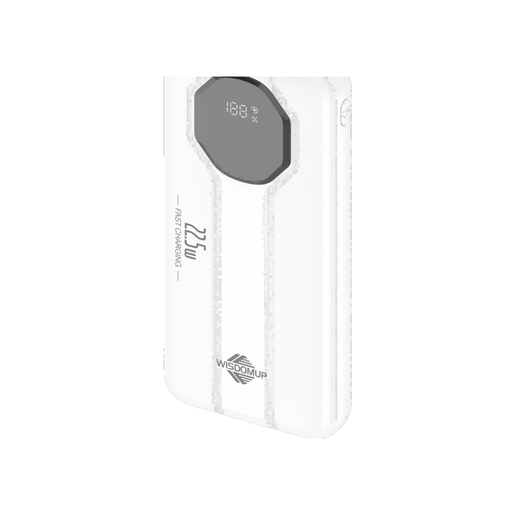 Fast-Charging Power Bank